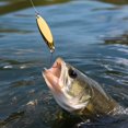 thumbnail image 4 of Micro Metal Spoon Fishing Lure, Sinking Single Hook Bait for Trout Bass and Perch Freshwater Casting, Pattern E Size M, 1.34 Inch, 4 of 6