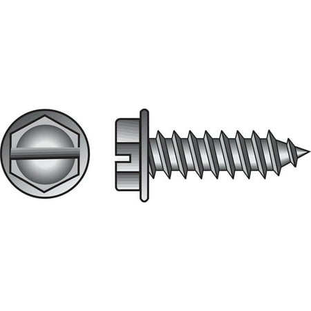 

SCRW SM HEX SS 10X2 B100