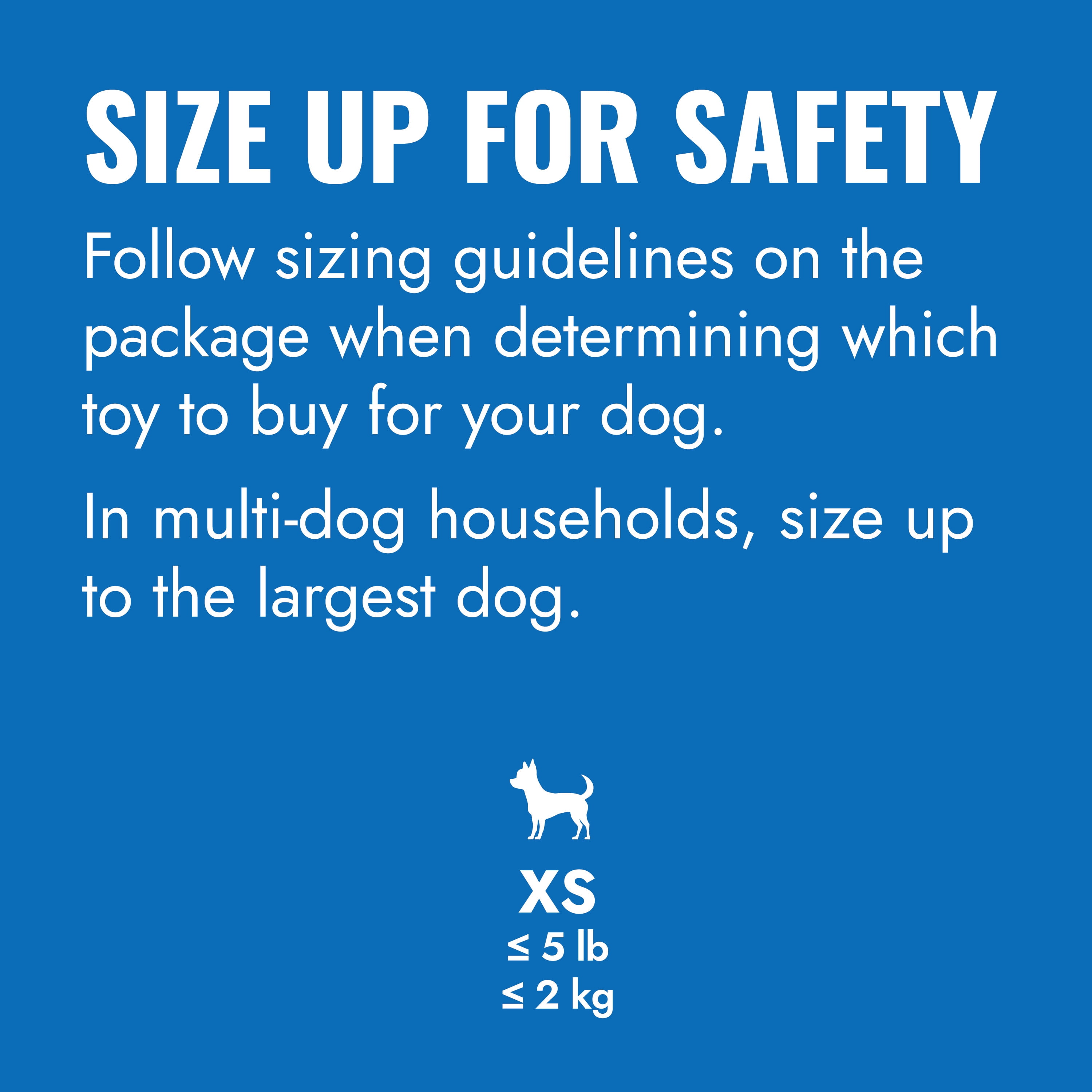 KONG® Puppy Goodie Bone for Beginner Chewers, Blue, Extra Small for Dogs up to 5 lbs