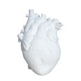 thumbnail image 2 of Florero anatómico en forma de corazón, maceta de resina, adorno, decoración artística para el hogar, 2 of 3