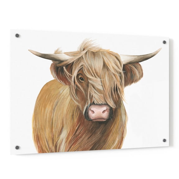 Epic Art 'Highland Cattle I' by Grace Popp, Acrylic Glass Wall Art, 36"x24"
