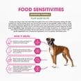 thumbnail image 3 of Dr. Pol Clinical Nutrition Advanced Formula Plant-Based Food Sensitivities Dry Dog Food, 7 lb Bag, 3 of 7