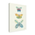 thumbnail image 2 of Trademark Fine Art 'Butterfly Charts IV' Canvas Art by Courtney Prahl, 2 of 4