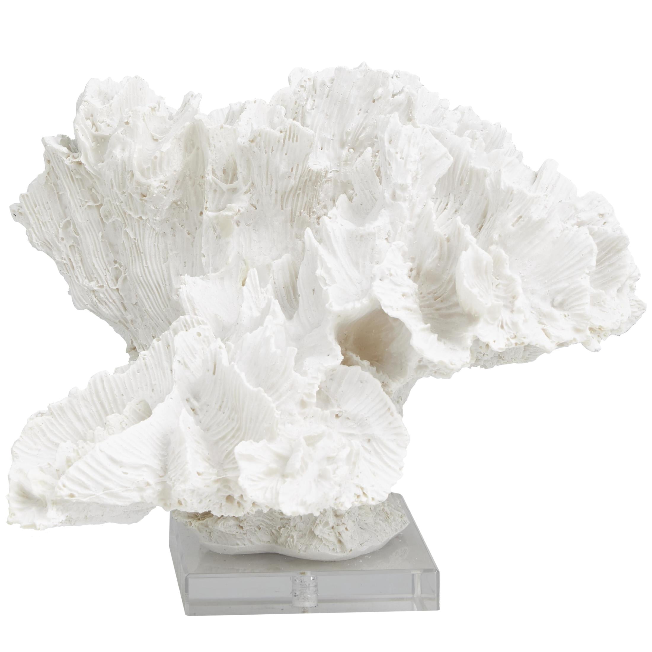 12" x 8" White Polystone Textured Coral Sculpture with Clear Acrylic Base, by DecMode