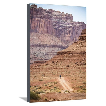 Male Endurance Cyclist Rides Mountain Bike on White Rim Trail in Canyonlands National Park, Utah Stretched Canvas Print Wall Art By Matt (Best Bike Rides In Utah)