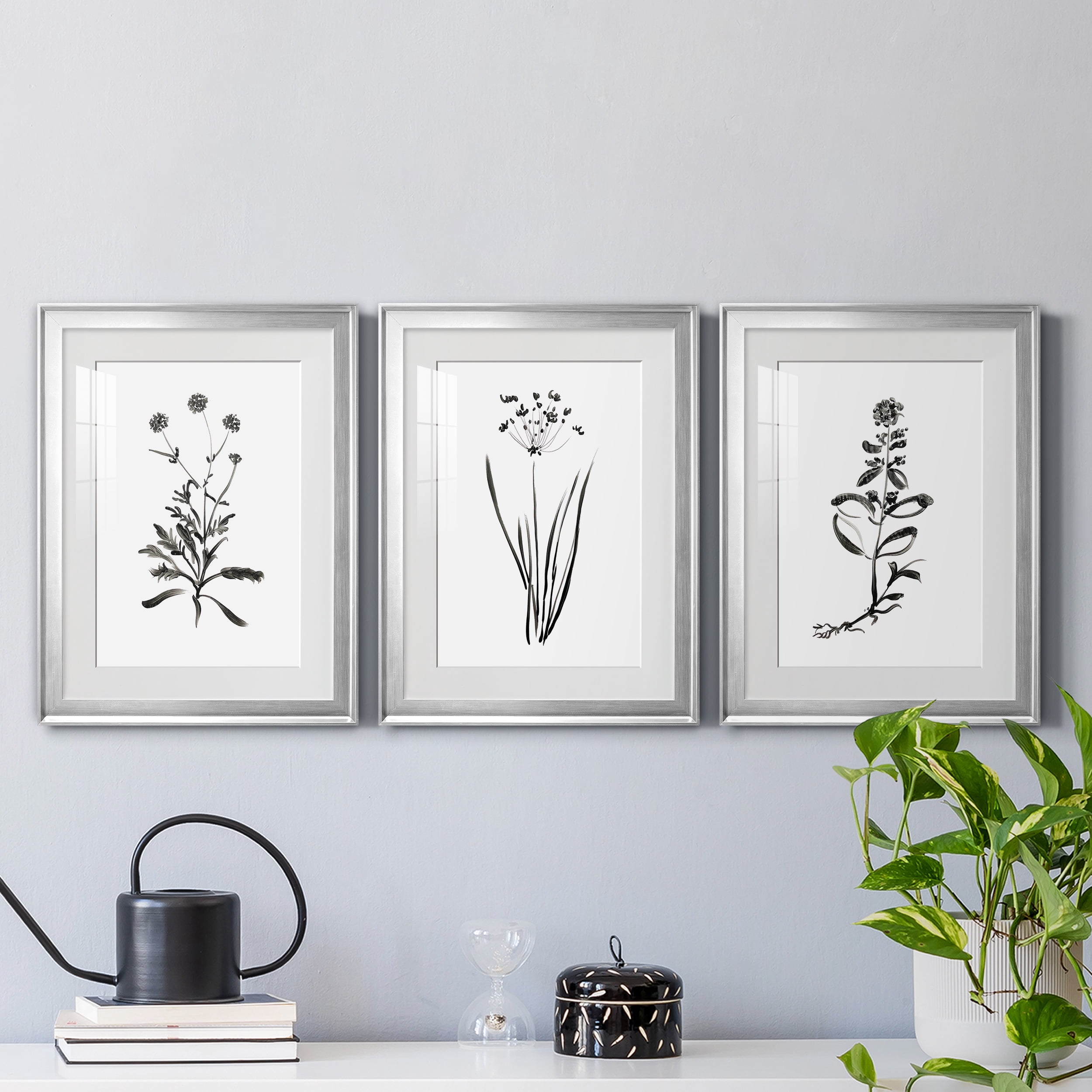 Inky Botanical I Premium Framed Prints Set of 3 - Ready to Hang - 18 x 24 Each - Silver Frame
