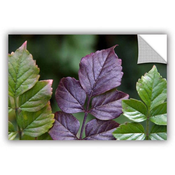 ArtAppealz Dan Holm "Fitting in" Removable Wall Art