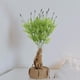 thumbnail image 4 of Flores artificiales, plantas decorativas para hoteles, hogares y decoración de interiores; plantas de plástico de imitación más vendidas; diseño moderno, estilo elegante; para sala de estar;, 4 of 8