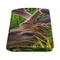 thumbnail image 2 of CADecor Elk in The Grass Fleece Blankets Bed Throws 58x80 Inches, 2 of 3