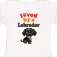 thumbnail image 4 of Inktastic Labrador Retriever Dog Black Lab Boys or Girls Long Sleeve Baby Bodysuit, 4 of 5