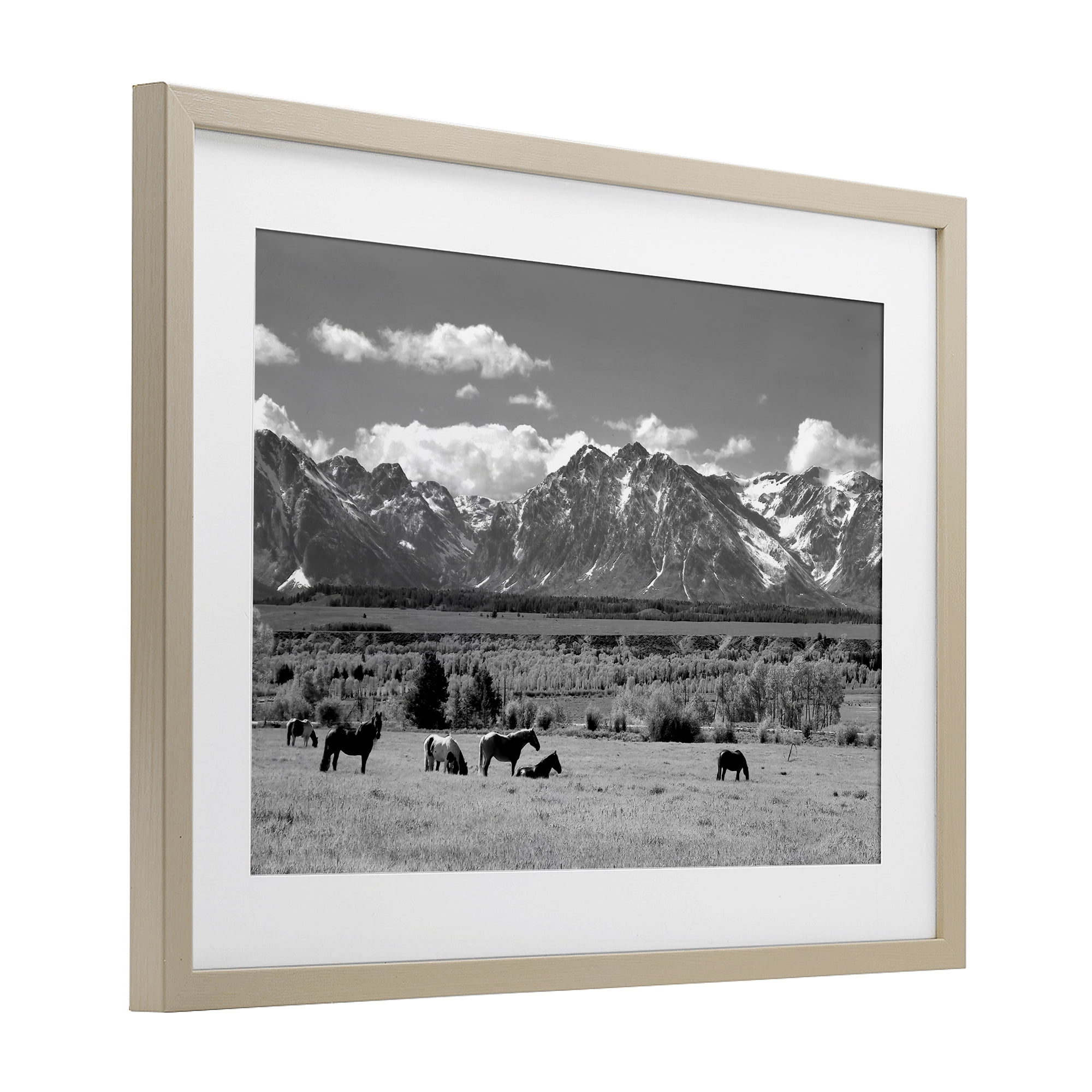 Stupell Industries Wyoming Ranch Horses Grazing Birch Framed Print Under Glass, design by Steve Toole