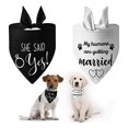 thumbnail image 1 of El Mejor Pañuelo Para Perros Y Perros Para Bodas, Regalo De esquí esquí Gafas de esquí, 1 of 5