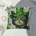 thumbnail image 2 of RUIYC St Patricks Day Pillow Cover Cat Shamrock Decor Farmhouse Holiday Spring Pillow Case Decorations for Home Sofa Couch, 2 of 5