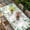 Green, variant on Sage Green Eucalyptus Table Cloths for 6 Foot Rectangle Tables, Spring Leaves Black White Plaid Patio Waterproof Elastic Fitted Tablecloths, Washable Rectangular Table Cover for Camping