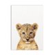 thumbnail image 1 of León cebra elefante jirafa bebé animales Póster Artístico impreso, imagen de animales de Safari pintura en lienzo decoración de pared para habitación de niños y guardería Adepaton 1247-6, 1 of 1