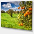 thumbnail image 2 of Bright Green Grass in Orange Garden - Large Landscape Canvas Art Print, 2 of 4