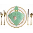 thumbnail image 2 of WYYP Frog Cloth Napkins Polyester Gift Home Decor 2 PCS, 2 of 7