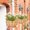 C#2241, variant on Hanging Flower Basket Liner Adjustable Wall Mounted Trough Planter Pads for Outdoor Balcony Garden Moisture Retention Coir Replacement Liners Indoor