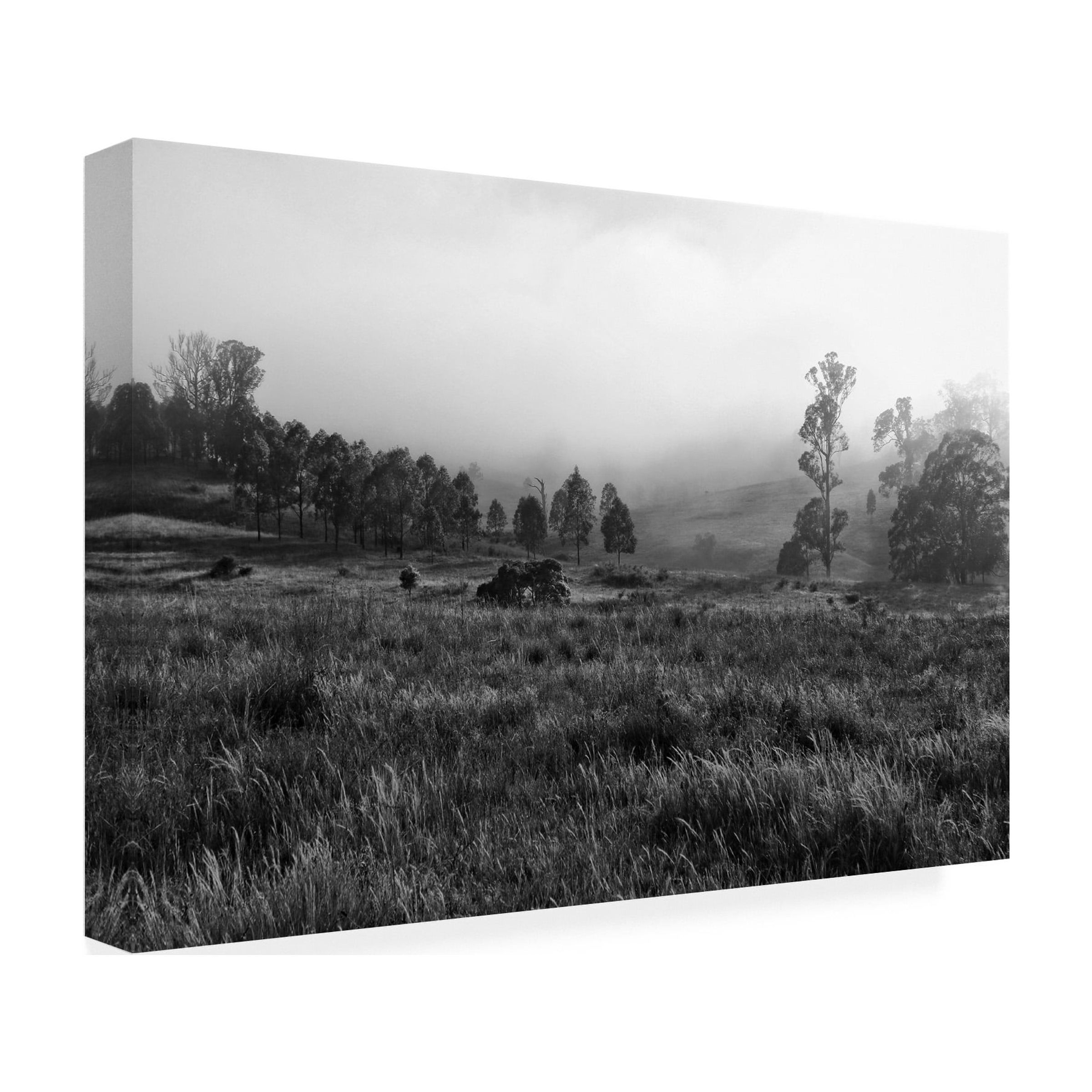 Beata Czyzowska Young 'Foggy Mood 8' Canvas Art