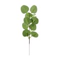 thumbnail image 2 of Wosthever 20 hojas de eucalipto artificiales de tallo largo, ramas de hojas falsas, accesorio de simulación de autoensamblaje, planta verde, Decoración Eucalipto, 2 of 6