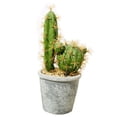 thumbnail image 2 of Visland Fake Plant Decorative Beautiful Realistic Potted Plants Fake Desktop Cactus Landscape Decor for Home, 2 of 5