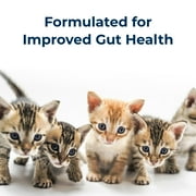 KMR Liquid Milk Replacer For Kittens - 11 oz