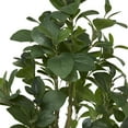 thumbnail image 5 of DecMode 45" Artificial Fig Tree in Realistic Leaves and Black Melamine Pot, 5 of 9