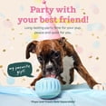 thumbnail image 2 of Juguete interactivo para perros WOOF Party Pupsicle para perros pequeños, 2 of 7