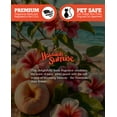 thumbnail image 3 of Hawaiian Sunrise Wax Melts Multi Pack - Highly Scented + Natural Oils - Shortie's Candle Company, 3 of 5