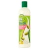 Sof N' Free - GroHealthy Milk Protein Olive Oil Sulfate-Free 2-in-1 Conditioning Shampoo