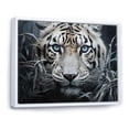 thumbnail image 2 of Designart "Mysterious Cat s Gaze II" Animals Floater Framed Canvas Art Print, 2 of 7