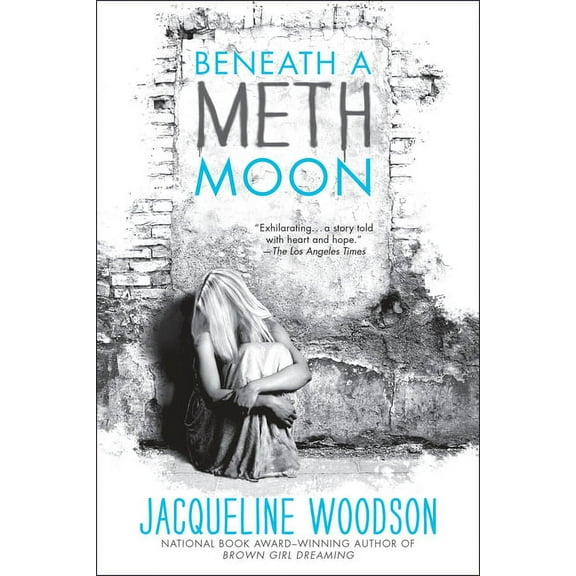 Beneath a Meth Moon: An Elegy, (Paperback)