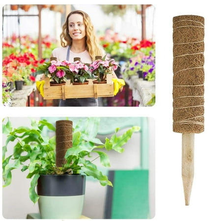 

SPRING PARK 35x5cm Coir Totem Pole Coir Moss Totem Pole Coir Moss Stick for Plant Support Extension Climbing Indoor Plants Creepers