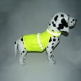 thumbnail image 4 of TIELUTT Gilet pour Chien, Pyjama Réfléchissant pour Chien, Col Roulé, Chandails d'Hiver pour Grands Chiens, Vêtements pour Chien, Vêtements Mignons pour Chiots, Vêtements d'Hiver pour Grands Chiens, 4 of 5