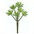 thumbnail image 2 of CC2490-GR 11 in. Plastic Sedum Stem Green- Case of 24, 2 of 2
