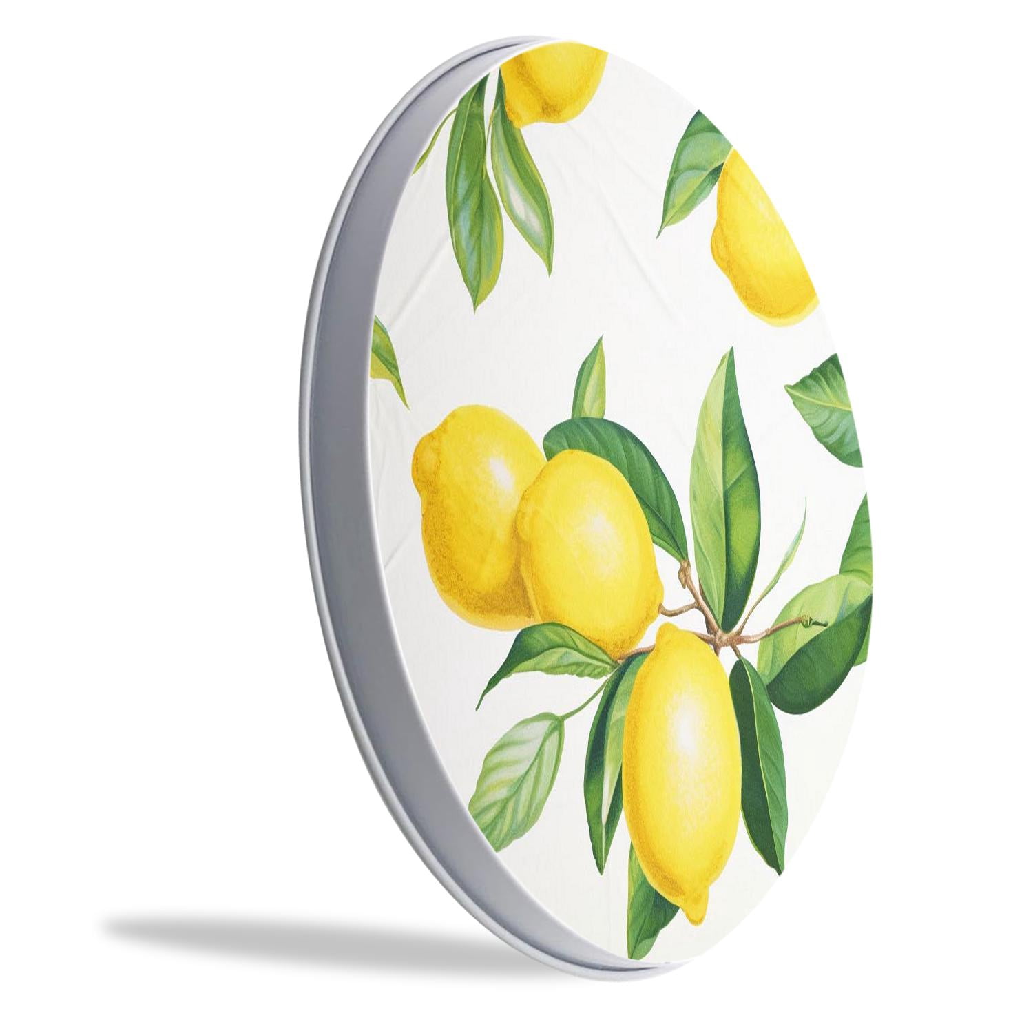 Round Stove Burner Covers 4 Pcs Metal Electric Stove Burner Covers 8Inch And 10Inch ,Fresh Yellow Lemon White art