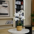 thumbnail image 3 of 30" White Orchid Arrangement in a Large Tan Ceramic Planter | Real Touch White Moth Phalaenopsis Orchids by Fiori Sempre, 3 of 6