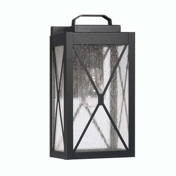 Robert Stevenson Lighting Charleston - Farmhouse Rectangular Metal and Glass Wall Mounted Outdoor Light, Matte Black