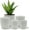 White, variant on Campior Plastic Plant Pots with Drainage, Stackable Design for Indoor/Outdoor Use, Pack of 20, White