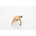 thumbnail image 5 of Gibbon Toy, Walking, Monkey, Chimp, White Handed, Very Realistic Rubber Figure, Model, Educational, Animal, Hand Painted Figurines, 3" CH075 BB81, 5 of 7