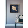 thumbnail image 6 of Epic Art 'Seashell on Navy IV' by Cindy Jacobs, Acrylic Glass Wall Art, 24"x24", 6 of 10