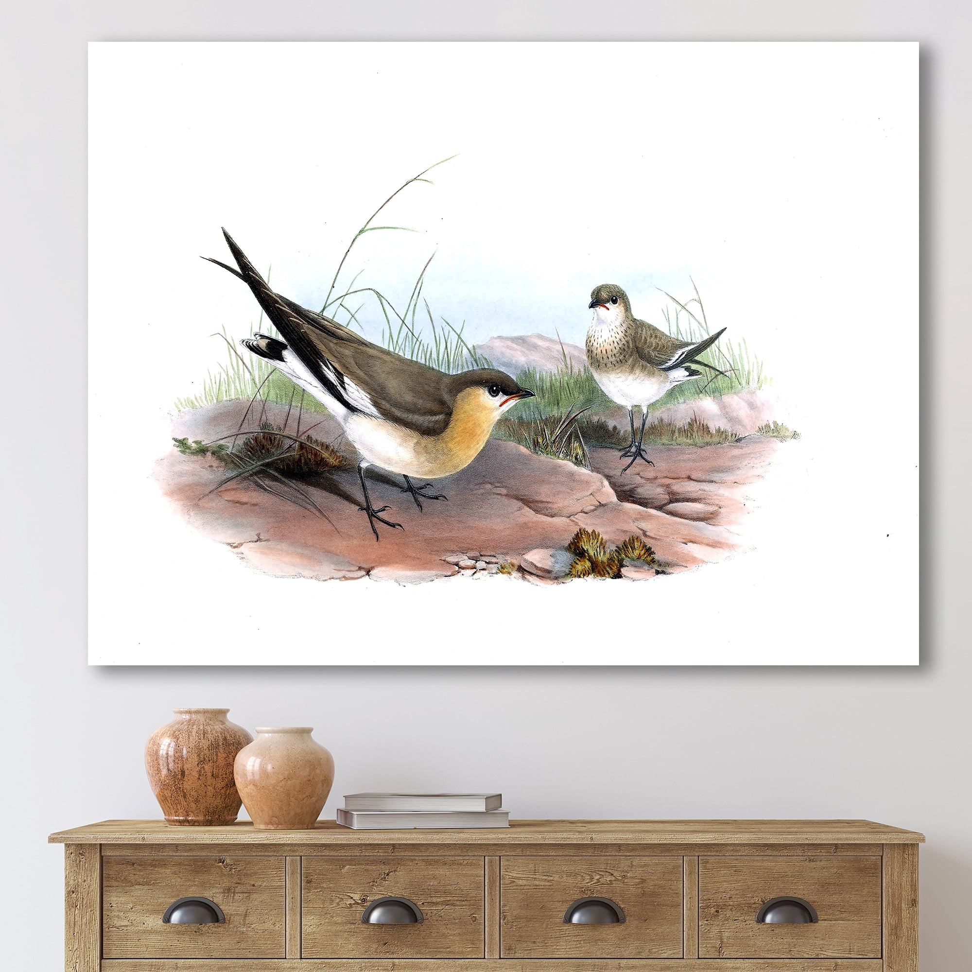Designart ' Ancient Bird Illustration II ' Farmhouse Canvas Wall Art Print