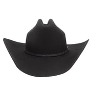 Stetson Red Rocks 3X Black Felt Cowboy Hat
