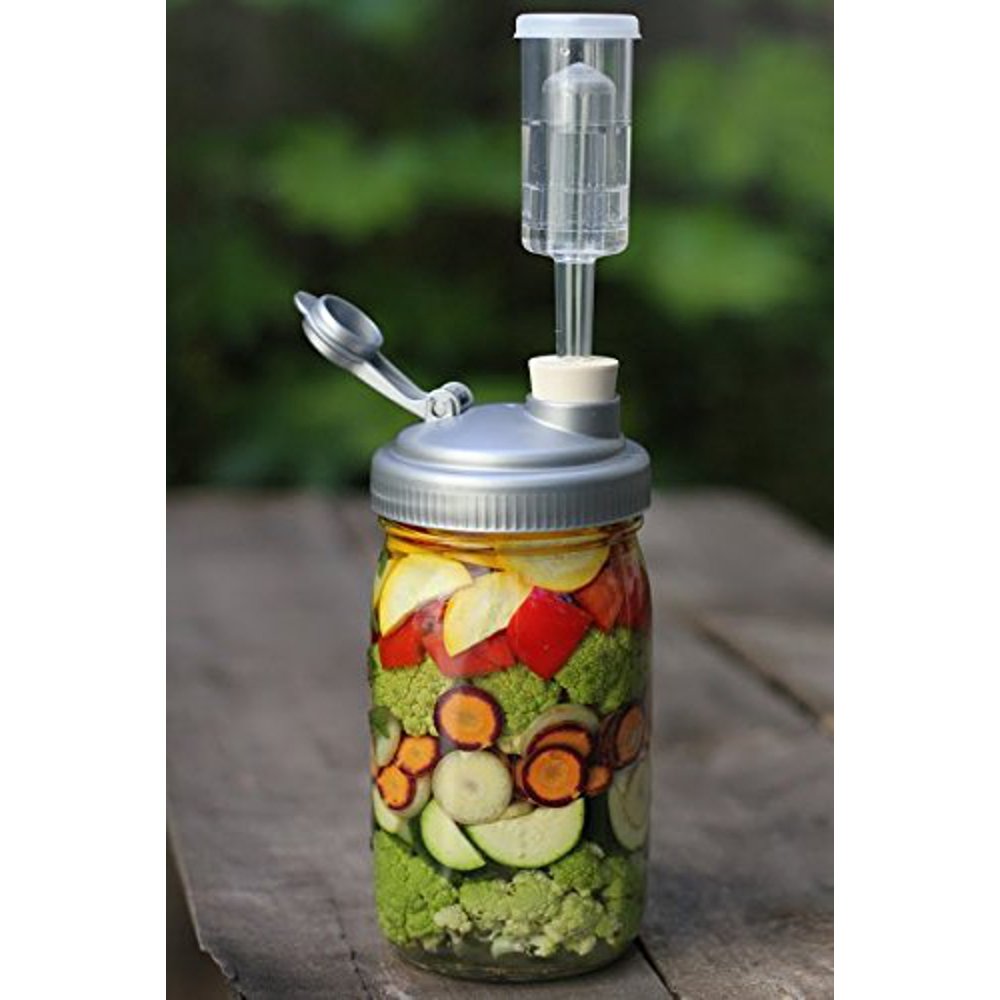 FARMcurious Mason Jar Mold Free Fermenting Kit, Grey, 2 Pack Walmart