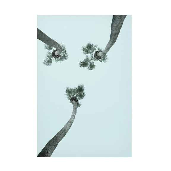 Trademark Fine Art Shot by Clint My Mint Moment Canvas Wall Art