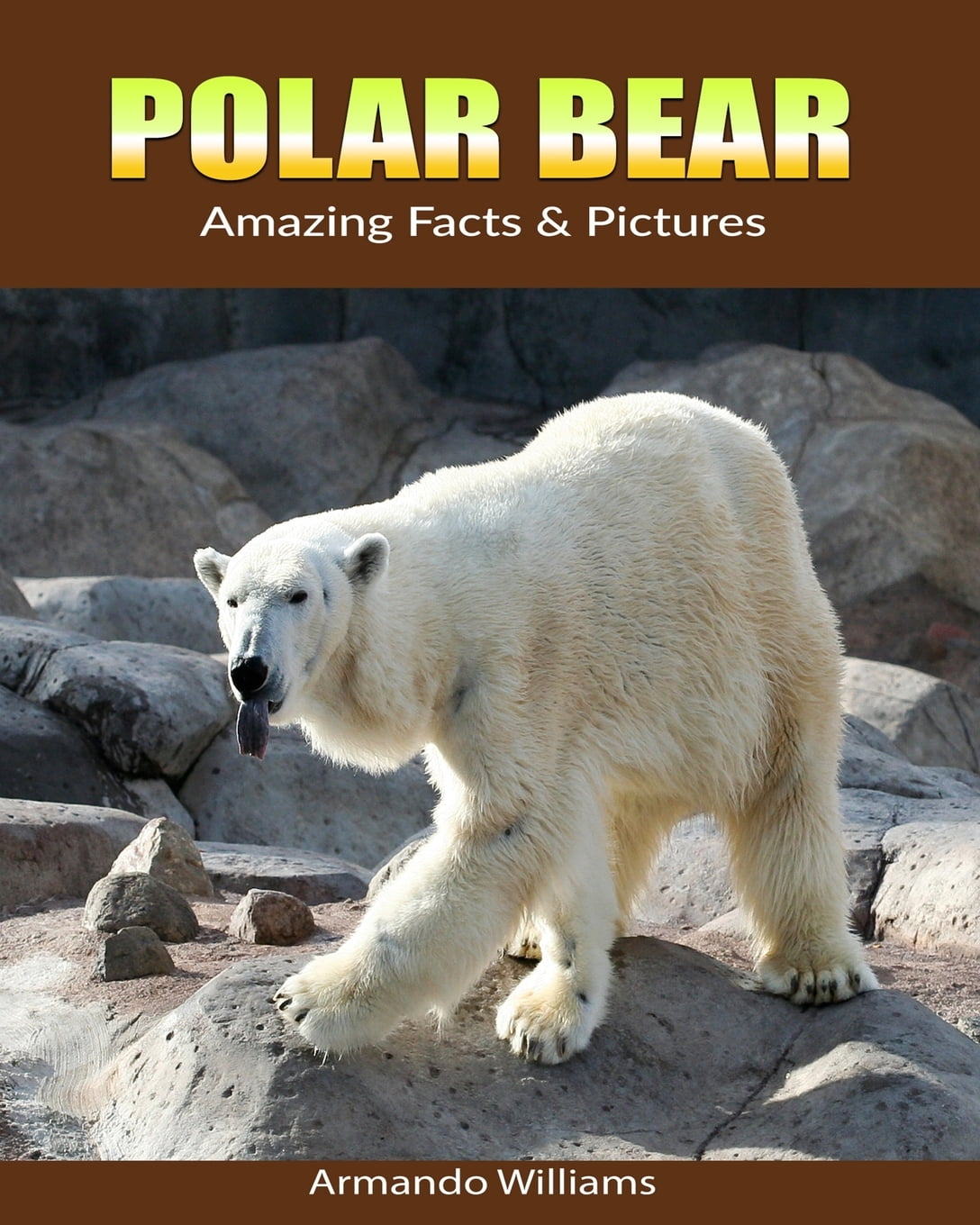 10 Facts Polar Bears