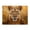 500 Pieces, variant on 500-Piece Wooden Jigsaw Puzzle for Adults - Lioness Golden Eyes Stare , Fun & Challenging Brain Teaser, Stylish Home Decor & Unique Gift