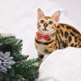 thumbnail image 4 of 2 Pack/Set Cat Collar Breakaway with Cute Bow Tie and Bell Plaid Flower for Kitty Adjustable Safety, 4 of 9