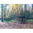 thumbnail image 2 of Curinga, Kim 14x12 White Modern Wood Framed Museum Art Print Titled - Woodland Gazebo, 2 of 4