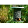 thumbnail image 5 of Birds Choice Modern Farmhouse Metal Sunflower Seed Hanging Bird Feeder, Sage Green, 5 of 5